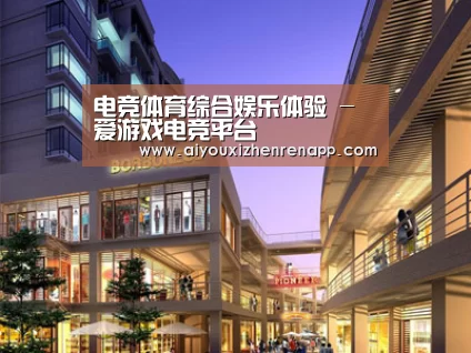 展示一(图1)