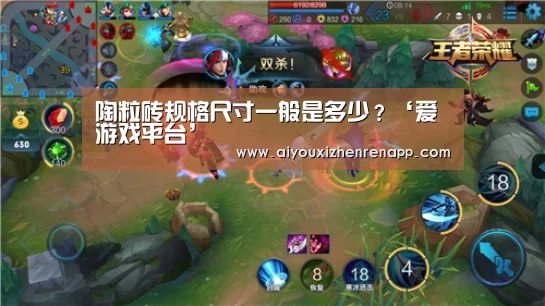 陶粒砖规格尺寸一般是多少?‘爱游戏平台’(图1) 爱游戏真人