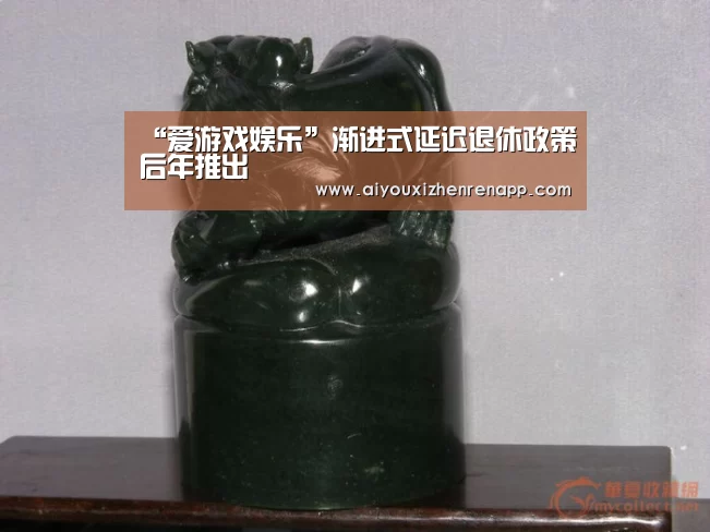 “爱游戏娱乐”渐进式延迟退休政策后年推出(图1) 爱游戏电竞