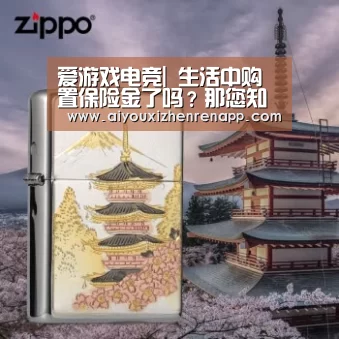 爱游戏电竞|
生活中购置保险金了吗？那您