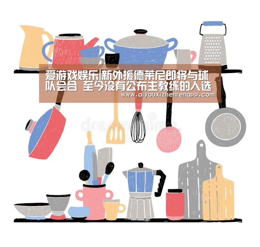 爱游戏娱乐|新外援德莱尼即将与球队会合 至今没有公布主教练的人选(图4) 爱游戏电竞