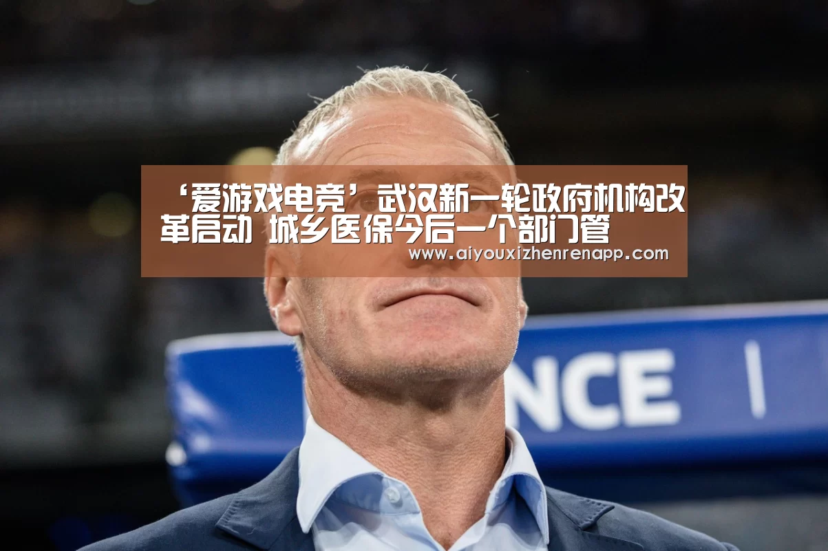 ‘爱游戏电竞’武汉新一轮政府机构改革启动 城乡医保今后一个部门管(图1) 爱游戏平台