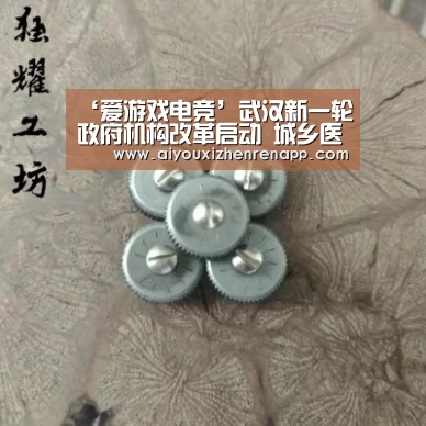 ‘爱游戏电竞’武汉新一轮政府机构改革启动 城乡医保今后一个部门管(图2) 爱游戏真人